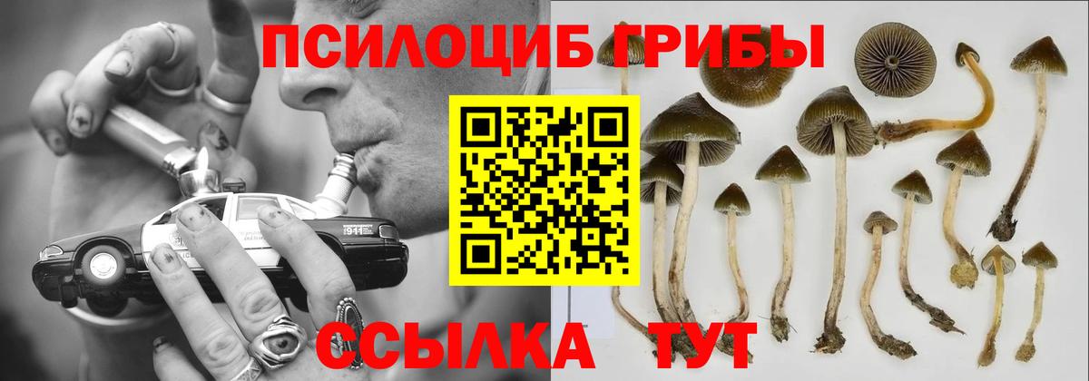 что такое наркотик  Вход с VPN  Ростов-на-Дону  Галлюциногенные грибы Psilocybine cubensis 